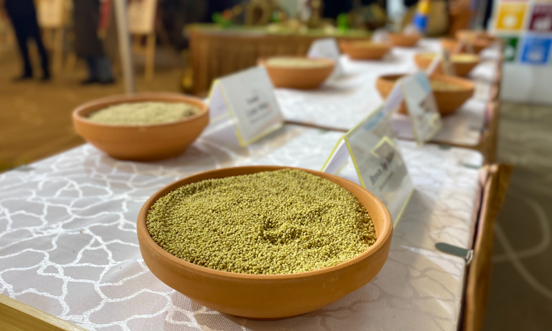 Various kinds of millet are showcased at the event held in Shanghai on Thursday celebrating the International Year of Millets. Photo: Global Times 