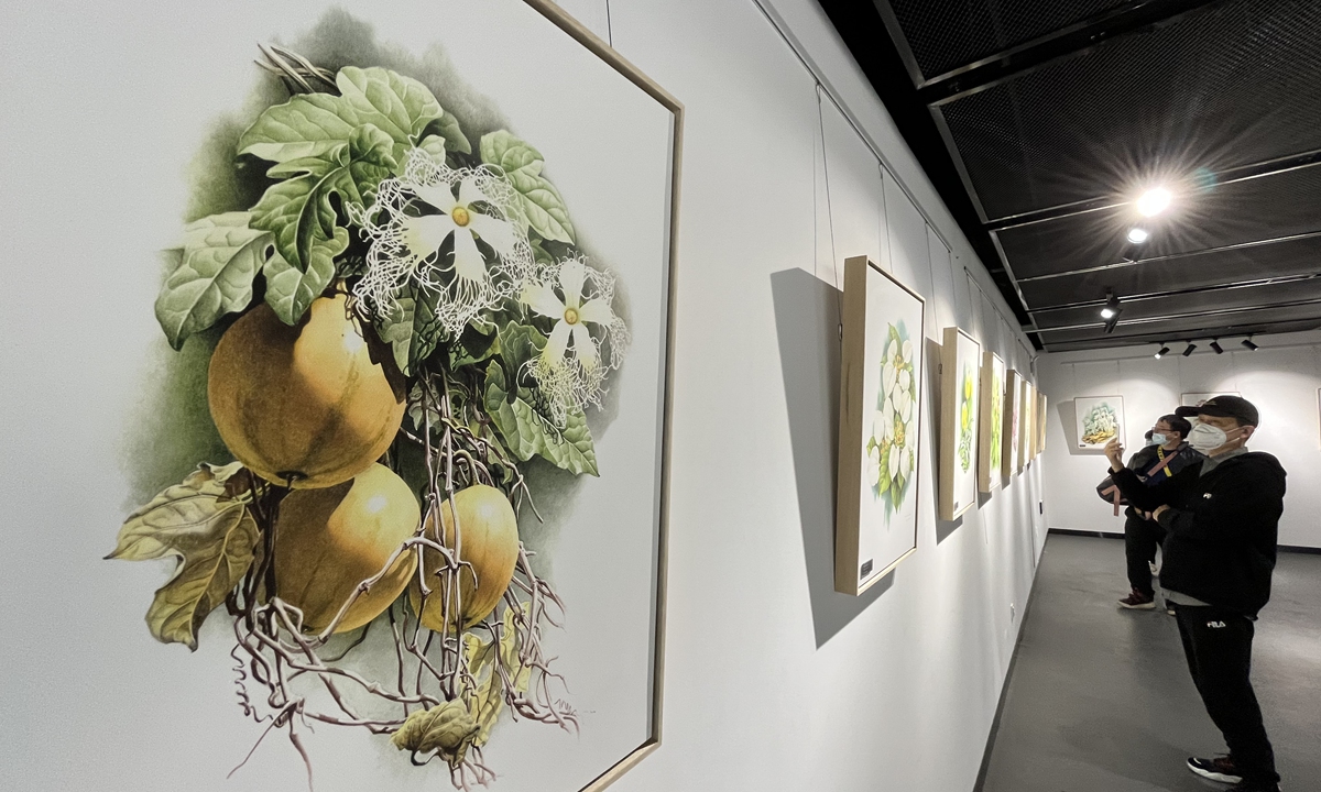 A collection of Chinese Biology painting specialist Zeng Xiaolian's paintings was exhibited at the National Botanical Garden in Beijing. File photo: VCG