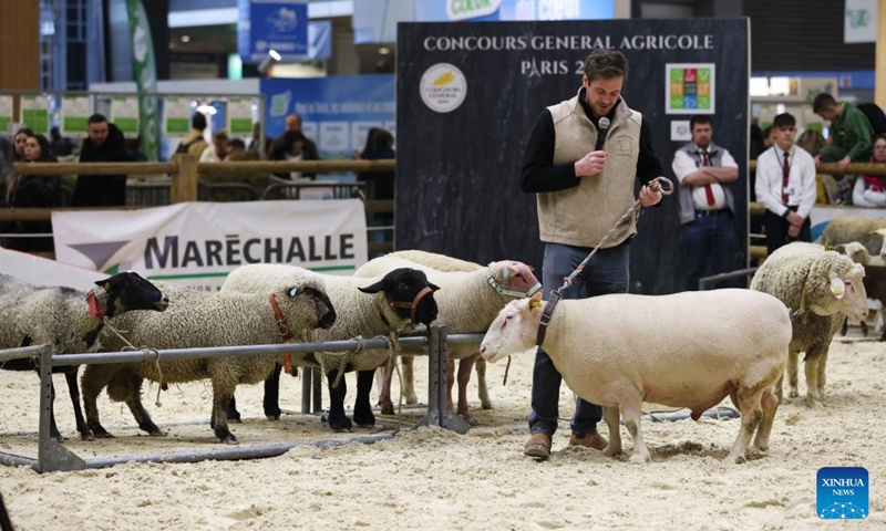 Sheep participate in a competition during the 59th International Agriculture Fair at the Porte de Versailles exhibition center in Paris, France, Feb. 27, 2023. The fair will last until March 5.(Photo: Xinhua)