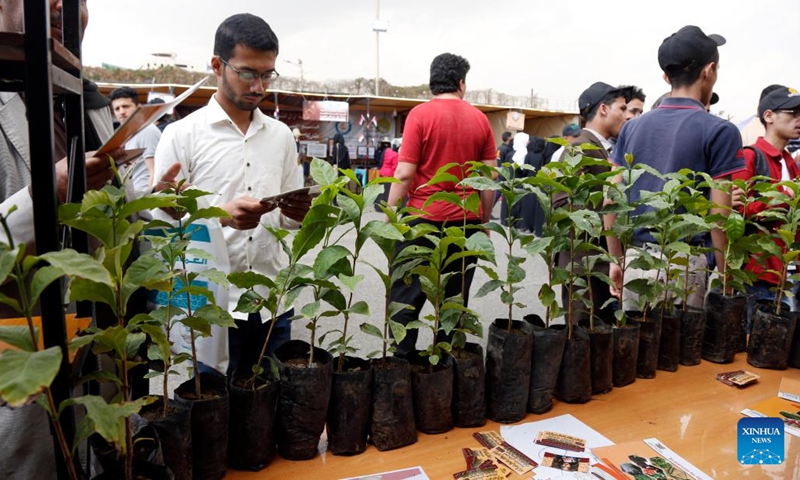 Visitors select coffee seedlings at a coffee fair in Sanaa, Yemen, on March 1, 2023. Local merchants gathered at the coffee fair on Wednesday to promote Yemen's renowned coffee.(Photo: Xinhua)