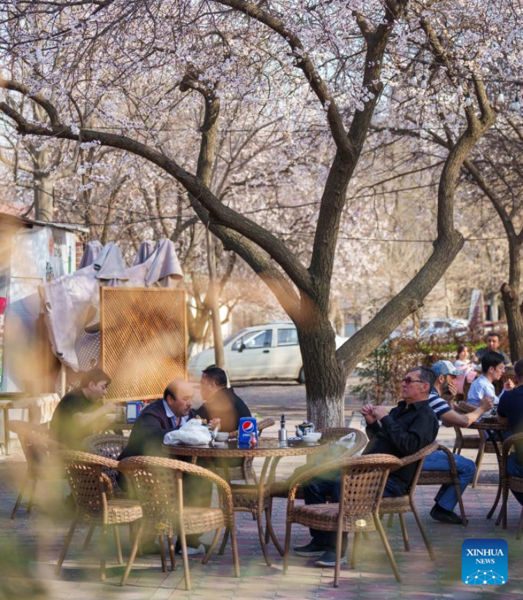 People enjoy an early spring day in Tashkent, Uzbekistan, March 10, 2023. (Photo by Georgiy Namazov/Xinhua)