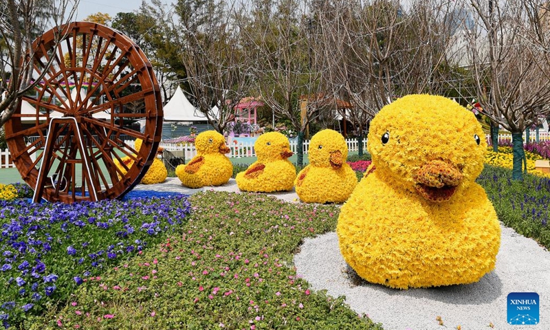 This photo taken on March 9, 2023 shows flower beds for the upcoming Hong Kong Flower Show 2023 at Victoria Park in south China's Hong Kong. The flower show will be held from March 10 to 19.(Photo: Xinhua)