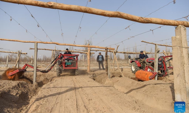 Farmers operate machines to dig out grape vines in Putao Town of Turpan, northwest China's Xinjiang Uygur Autonomous Region, March 8, 2023. Every winter, farmers here bury grape vines underground to keep them warm during the cold weather and dig them out and put them on trellises in the springtime. More farming machines have been put into use, which not only saves labor costs, but also greatly increases efficiency.(Photo: Xinhua)