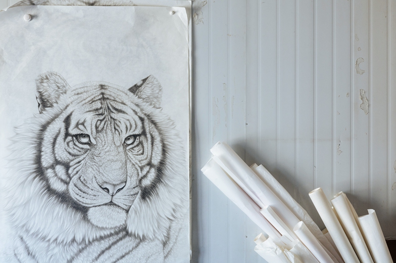 A portrait of a tiger painted by a resident in Wanggongzhuang, Central China's Henan Province. Photo: Li Hao/GT