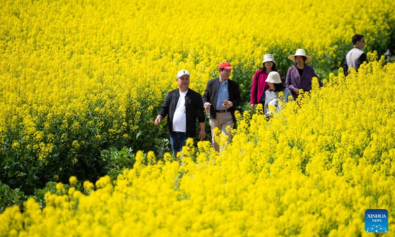 Tourists have fun in cole flower fields in Ziliu Village of Shimeitang Township, Changde City, central China's Hunan Province, March 14, 2023. (Photo:Xinhua)