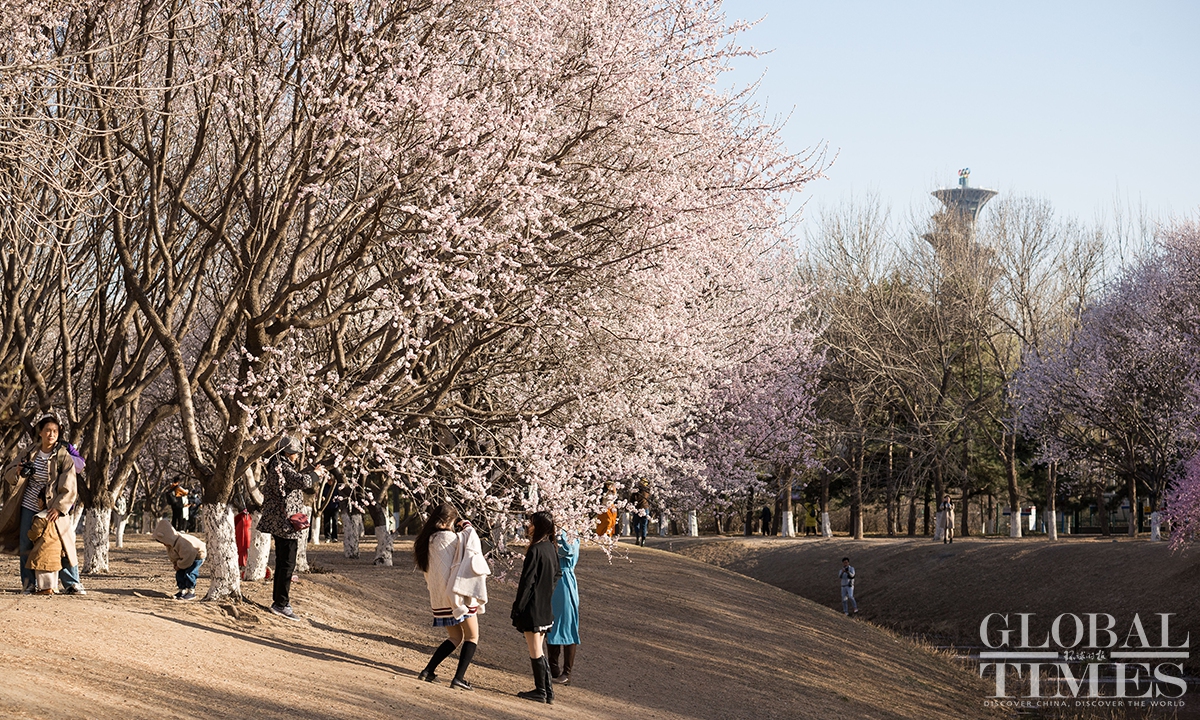 Photo: Chen Tao/GT