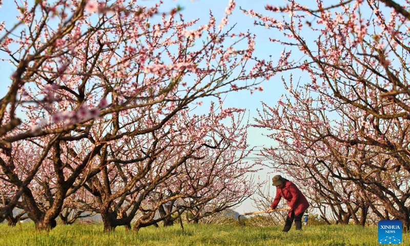 Villagers busy at farming on spring equinox - Global Times