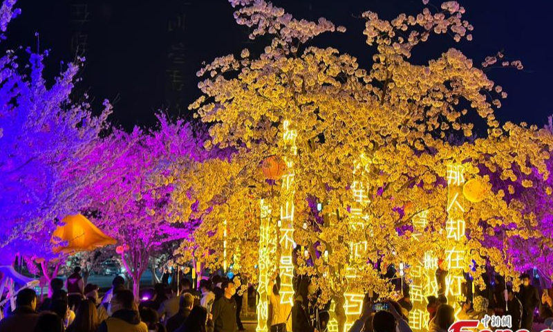 People are enchanted by cherry blossoms with colorful lights at night in Yantai, east China's Shandong Province, April 3, 2023. (Photo: China News Service/Qu Yuzhi)