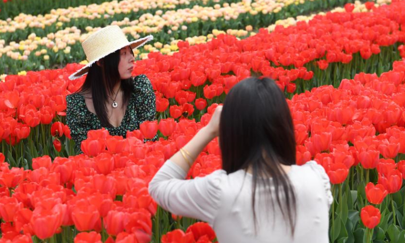 This photo shows tourists taking photos in tulip fields in Wujiang Village of Hangping Town in Pujiang County, Jinhua, east China's Zhejiang Province, March 28, 2023. Recently, 100 mu (about 6.67 hectares) of tulips in full bloom have attracted many sightseers. Developed by people who returned to their hometown to start businesses, this idle land was transformed into tulip fields and open for visitors for free. Order services for fresh flowers are also available to boost local farmers' income. (Xinhua/Weng Xinyang)