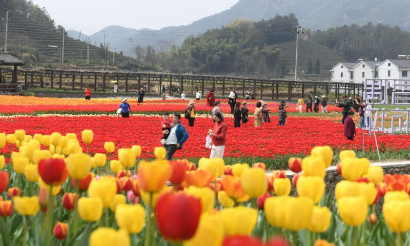 This photo shows tourists enjoying the view of tulips in Wujiang Village of Hangping Town in Pujiang County, Jinhua, east China's Zhejiang Province, March 28, 2023. Recently, 100 mu (about 6.67 hectares) of tulips in full bloom have attracted many sightseers. Developed by people who returned to their hometown to start businesses, this idle land was transformed into tulip fields and open for visitors for free. Order services for fresh flowers are also available to boost local farmers' income. (Xinhua/Weng Xinyang)