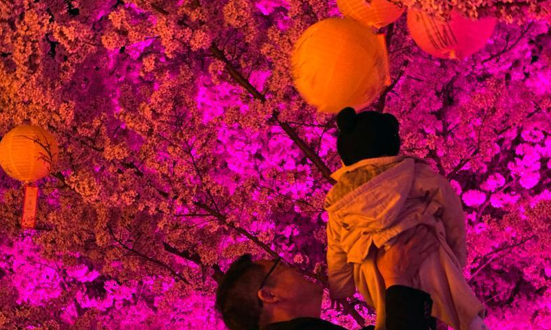 People are enchanted by cherry blossoms with colorful lights at night in Yantai, east China's Shandong Province, April 3, 2023. (Photo: China News Service/Qu Yuzhi)