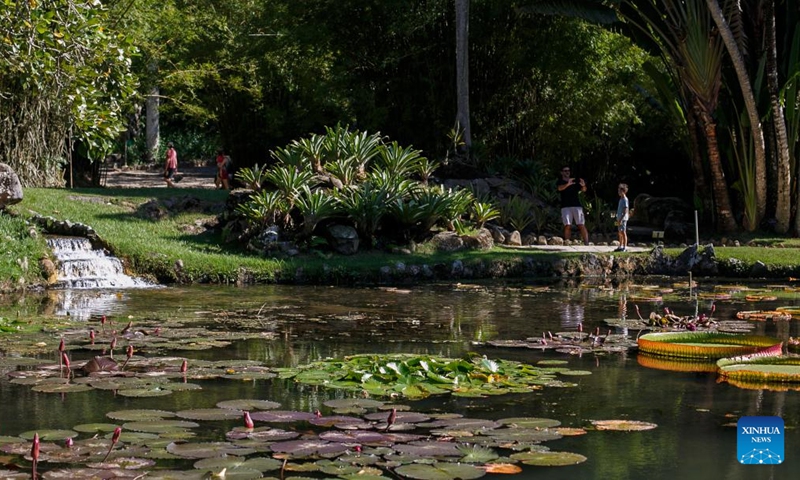 People take pictures at Rio de Janeiro Botanical Garden in Rio de Janeiro, Brazil, on April 1, 2023. (Photo by Claudia Martini/Xinhua)