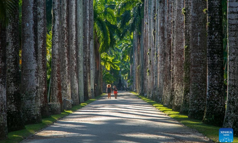 People walk at Rio de Janeiro Botanical Garden in Rio de Janeiro, Brazil, on April 1, 2023. (Photo by Claudia Martini/Xinhua)