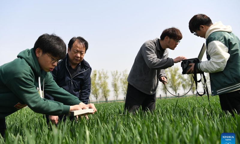 Huang Zhenglai (2nd L), vice president of new rural development institute of Anhui Agricultural University teaches students measure wheat canopy at an agricultural experimental base in Hefei, east China's Anhui Province, March 26, 2023. As spring has come, students of Anhui Agricultural University have been studying and practicing at the university's agricultural experimental base. (Xinhua/Zhang Duan)