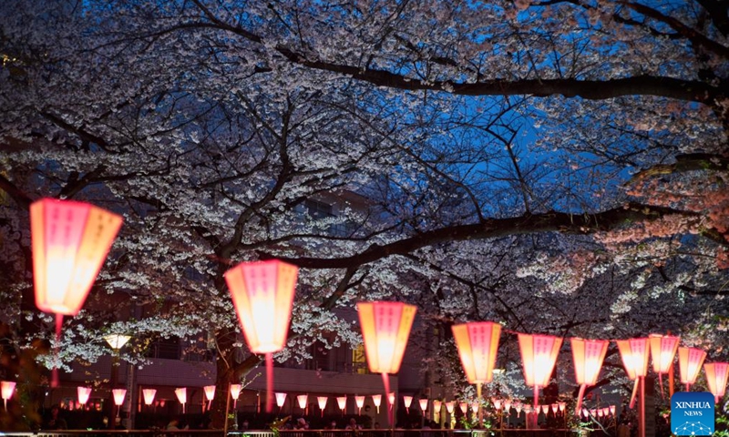 This photo taken on March 27, 2023 shows cherry blossoms along the Meguro River in Tokyo, Japan. (Xinhua/Zhang Xiaoyu)