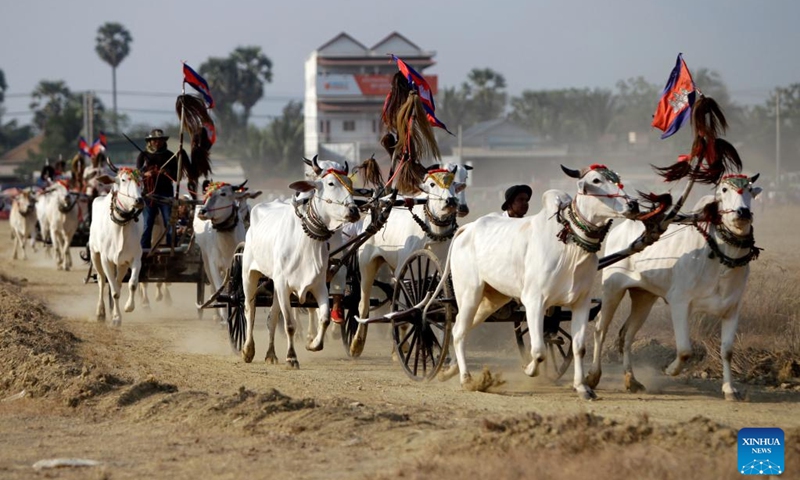 Contestants race their ox-carts in Kampong Speu province, Cambodia, on April 2, 2023. Local villagers hosted a centuries-age tradition of ox-cart racing here on Sunday, attracting hundreds of onlookers.(Photo: Xinhua)