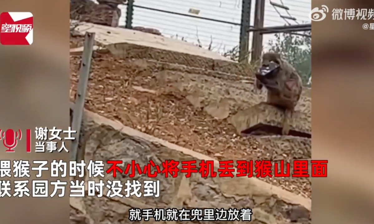 Recently, a woman lost her phone while visiting the zoo in Shijiazhuang, North China’s Hebei Province, and saw it fall into the monkey enclosure.