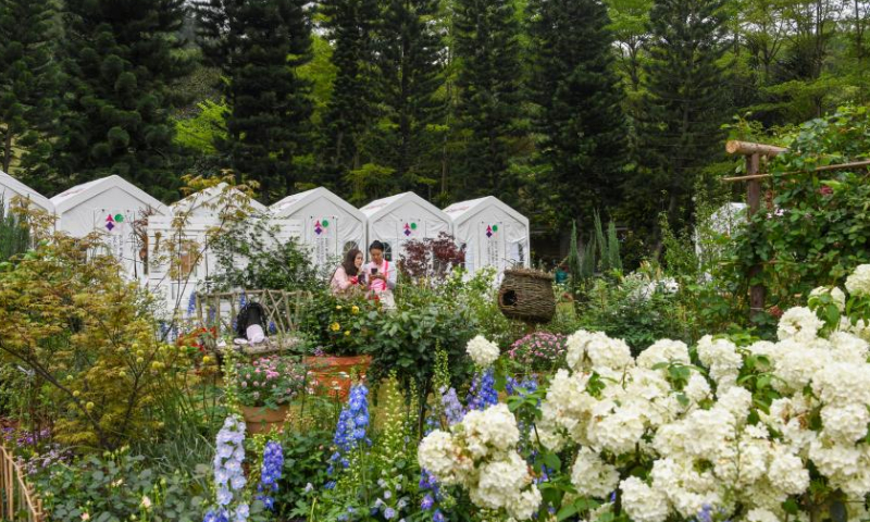 Visitors enjoy themselves at the Greater Bay Area Flower Show in Shenzhen, south China's Guangdong Province, April 8, 2023. The 10-day flower show was opened at Shenzhen Fairy Lake Botanical Garden on Saturday, attracting 80 exhibitors from 13 countries and regions including Australia, Britain, France, Japan, South Korea and the United States. (Xinhua/Liang Xu)