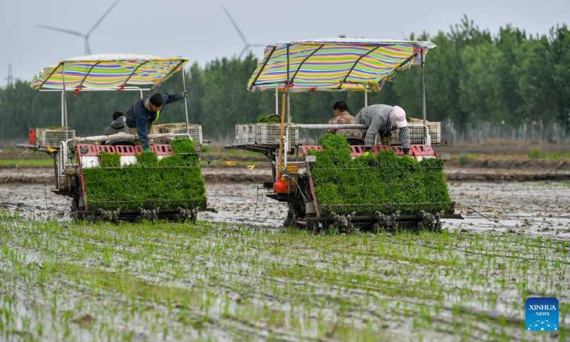 Farmers supply rice seedlings in the transplanters' seedling boxes in Dongjituo Township in Ninghe District of north China's Tianjin, May 5, 2023. (Xinhua/Sun Fanyue)