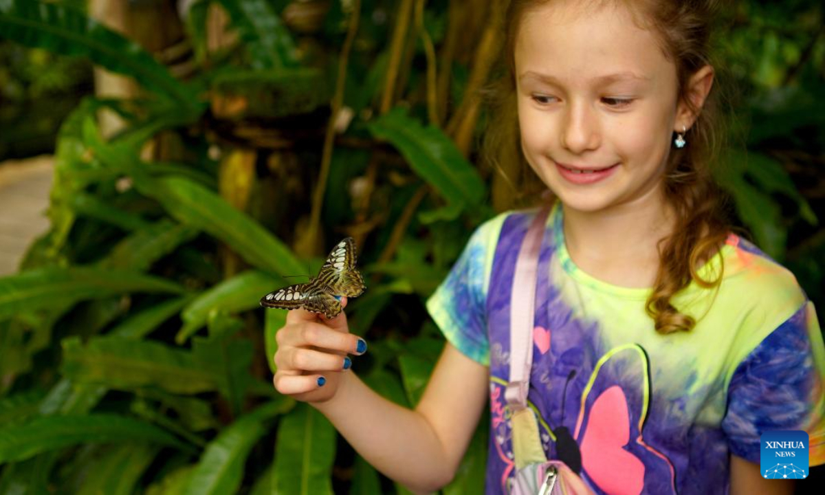 A butterfly lands on a girl's hand during a tropical butterfly exhibition at the Botanical Garden in Prague, the Czech Republic, on April 27, 2023. Photo:Xinhua