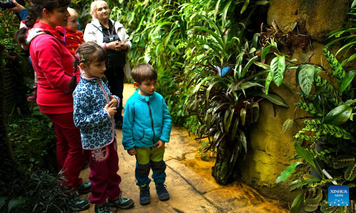 People look at a butterfly during a tropical butterfly exhibition at the Botanical Garden in Prague, the Czech Republic, on April 27, 2023. Photo:Xinhua