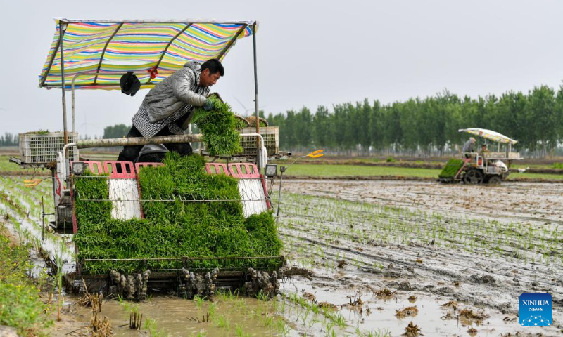 A farmer supplies rice seedlings in the transplanter's seedling box in Dongjituo Township in Ninghe District of north China's Tianjin, May 5, 2023. (Xinhua/Sun Fanyue)