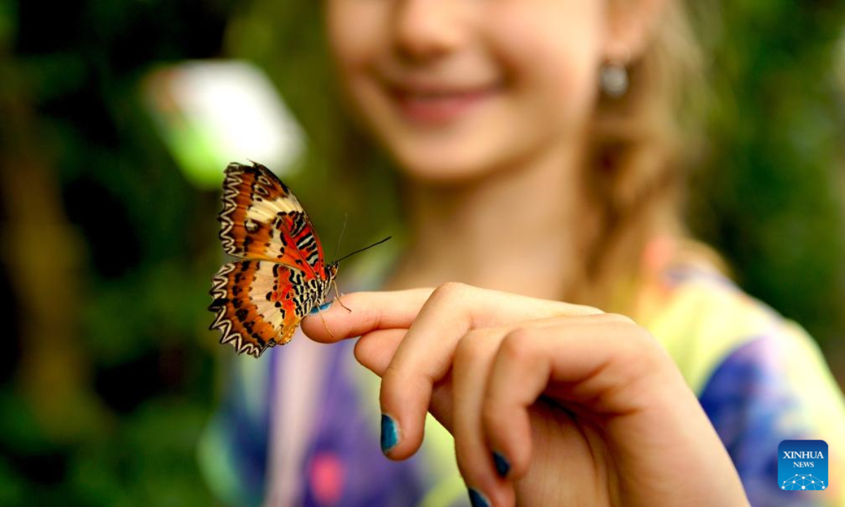 A butterfly lands on a visitor's hand during a tropical butterfly exhibition at the Botanical Garden in Prague, the Czech Republic, on April 27, 2023. Photo:Xinhua