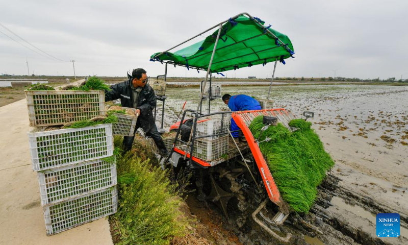 Farmers load rice seedlings onto a transplanter at an agricultural products development and demonstration center in north China's Tianjin, May 5, 2023. (Xinhua/Sun Fanyue)