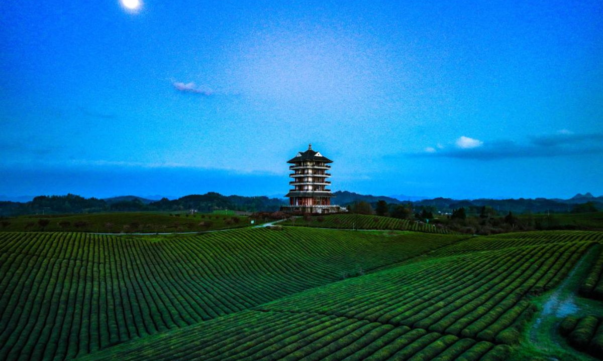 This aerial photo taken on April 4, 2023 shows tea plantations in Yongxing Town, Meitan County, southwest China's Guizhou Province. Photo:Xinhua