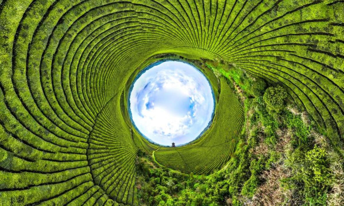 This stitched panoramic aerial photo taken on April 4, 2023 shows tea plantations in Yongxing Town, Meitan County, southwest China's Guizhou Province. Photo:Xinhua