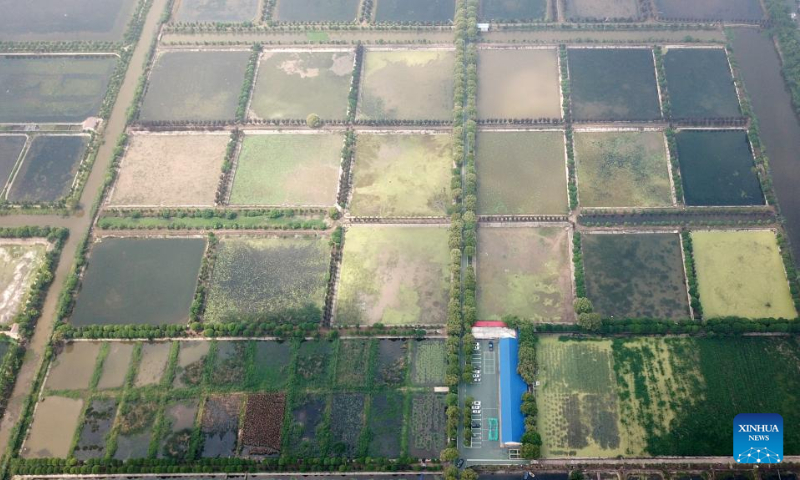 This aerial photo taken on April 20, 2023 shows a view of Datong Lake aquatic plants industrial demonstration park in Yiyang, central China's Hunan Province. Datong Lake, covering an area of 124,000 mu (about 8,266 hectares), was once heavily polluted due to disorderly aquaculture development. (Xinhua/Chen Zhenhai)