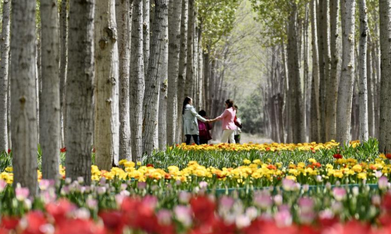 Tourists enjoy the scenery of blooming flowers by Yongding River in Daxing District of Beijing, capital of China, April 15, 2023. Colorful flowers of various species are in full bloom, attracting many tourists to spend their leisure time here. (Xinhua/Li Xin)