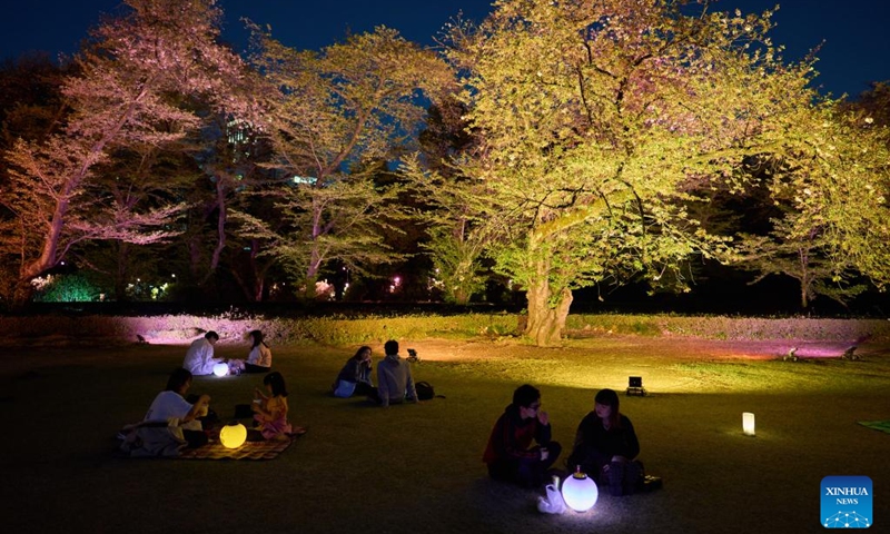 People enjoy the view of illuminated blooming cherry blossoms at the Sakura Night Garden Illumination at Shinjuku Gyoen park in Tokyo, Japan, April 10, 2023.(Photo: Xinhua)