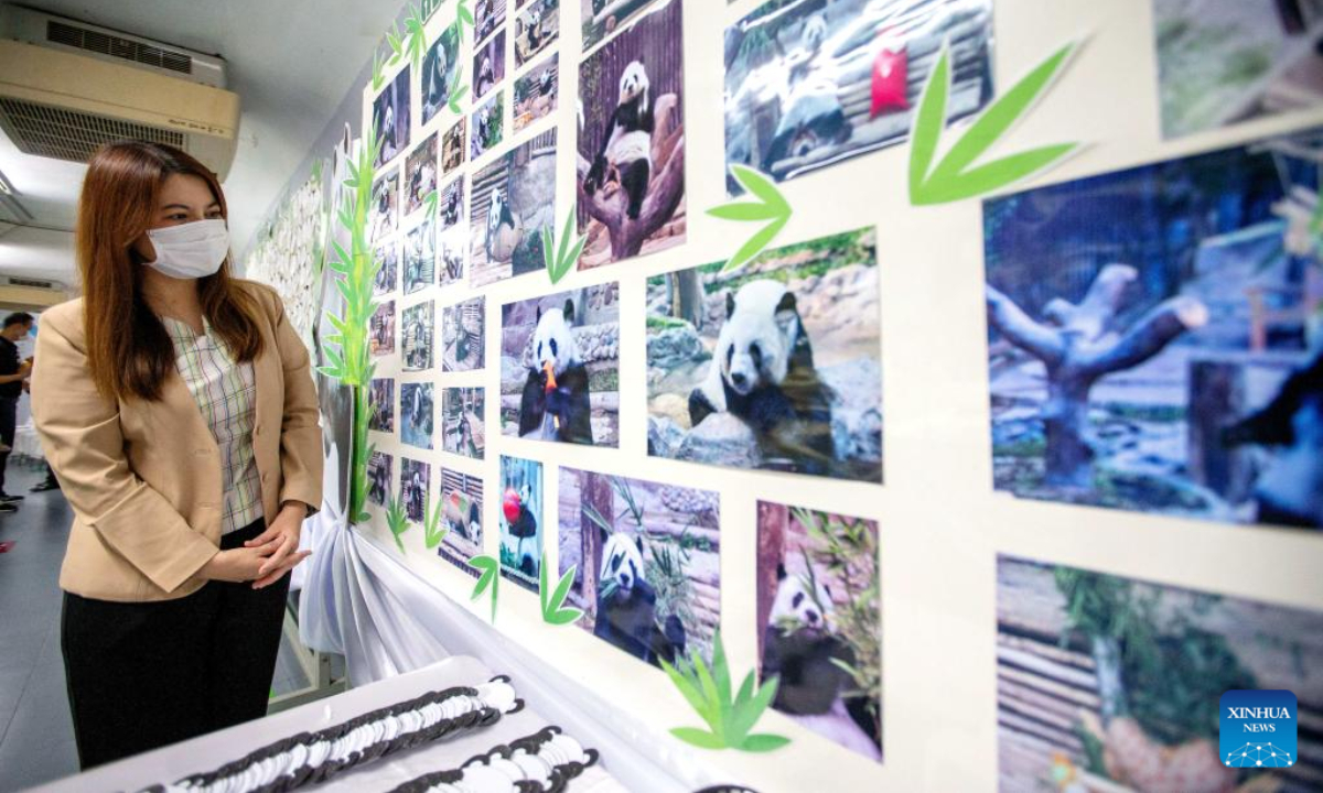 A visitor looks at photos of giant panda 