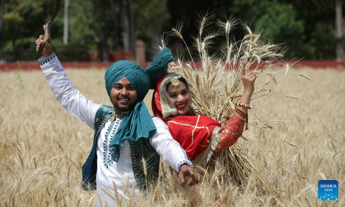 People wearing traditional Punjabi attire sing folk songs and perform folk dances during festival Baisakhi in a wheat farm in Amritsar district of India's northern Punjab state, April 13, 2023. Baisakhi is one of the most popular festivals celebrated in the Indian state of Punjab to mark the harvest. Photo:Xinhua