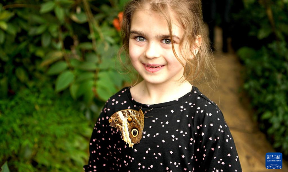 A butterfly sits on a girl's clothes during a tropical butterfly exhibition at the Botanical Garden in Prague, the Czech Republic, on April 27, 2023. Photo:Xinhua