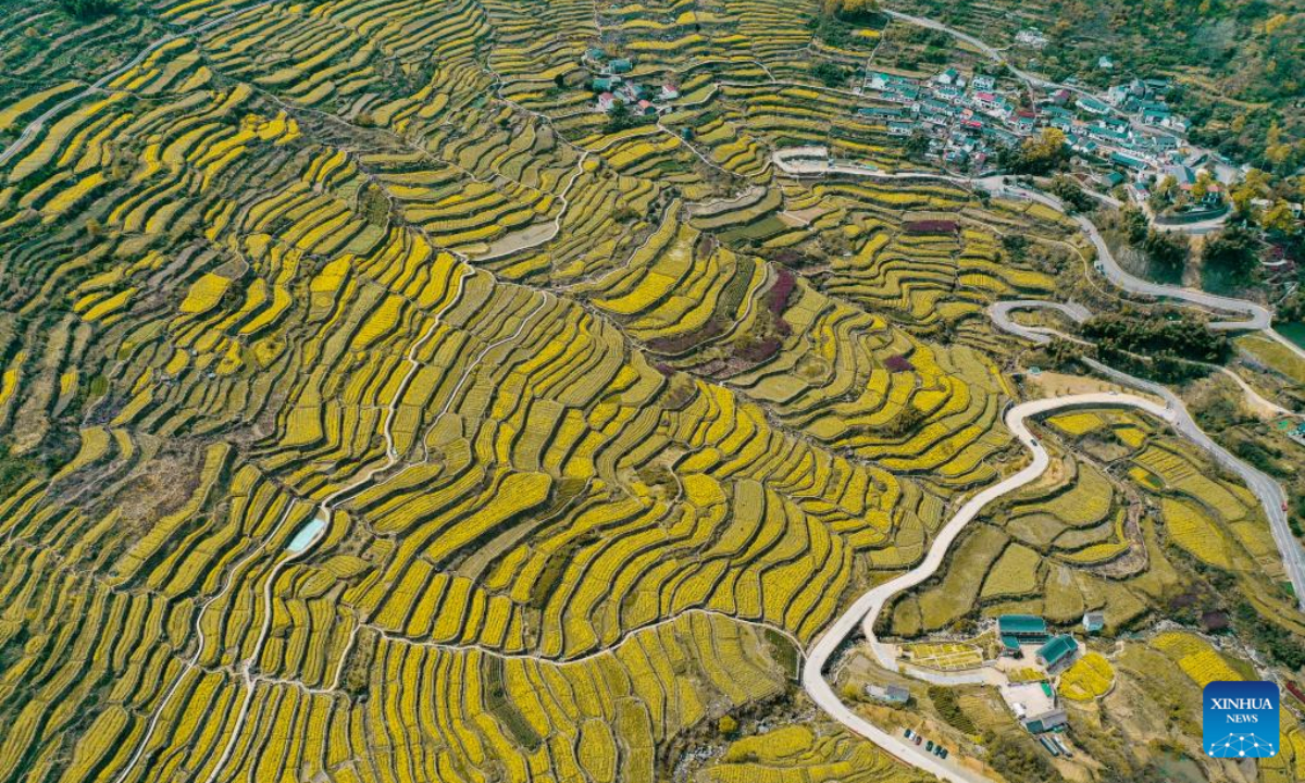 This aerial photo taken on April 3, 2023 shows the terraced fields in Lingnan Town of Shangyu District of Shaoxing City, east China's Zhejiang Province. Photo:Xinhua