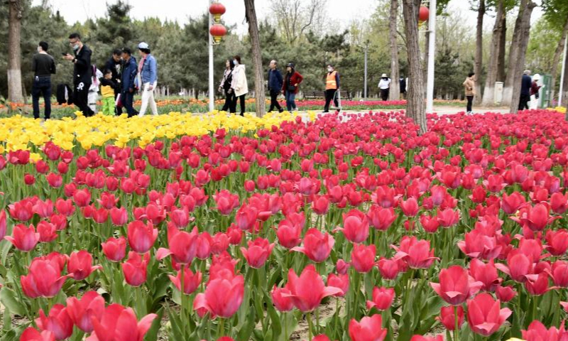 Tourists enjoy the scenery of blooming flowers by Yongding River in Daxing District of Beijing, capital of China, April 15, 2023. Colorful flowers of various species are in full bloom, attracting many tourists to spend their leisure time here. (Xinhua/Li Xin)