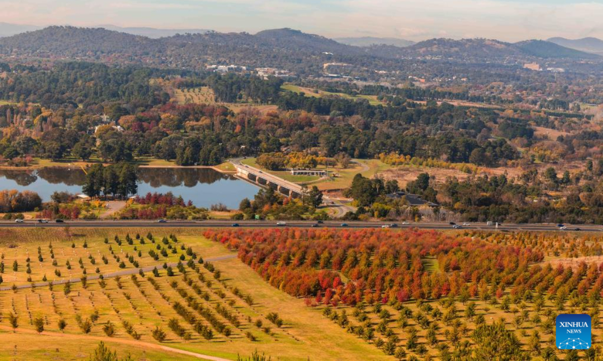 This photo taken on May 6, 2023 shows autumn scenery of the National Arboretum in Canberra, Australia. Photo:Xinhua