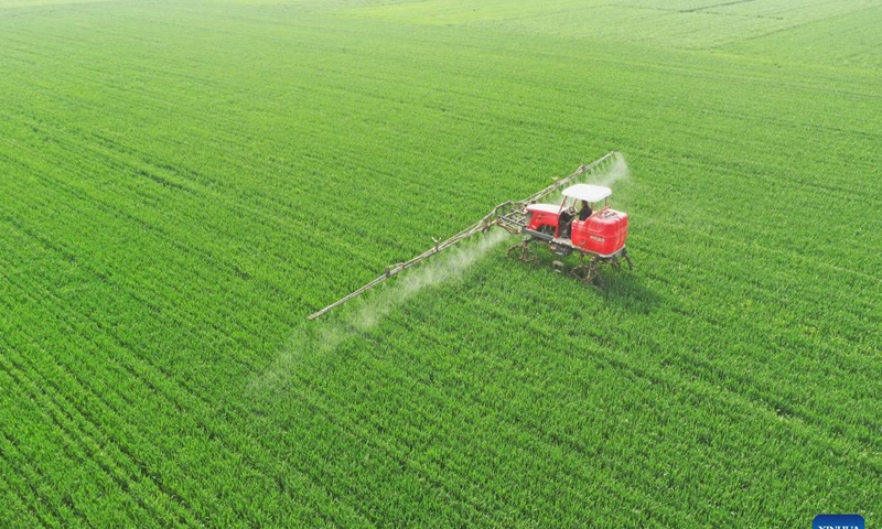 This aerial photo shows a farmer spraying pesticide in a wheat field with agricultural machinery in Zhangxiang Village, Heguo Township of Nanhe District in Xingtai City, north China's Hebei Province, April 19, 2023. As the winter wheat enters the heading stage in central and southern Hebei Province, local agricultural departments have been guiding farmers to carry out wheatland management on time to secure a bumper summer harvest.(Photo: Xinhua)