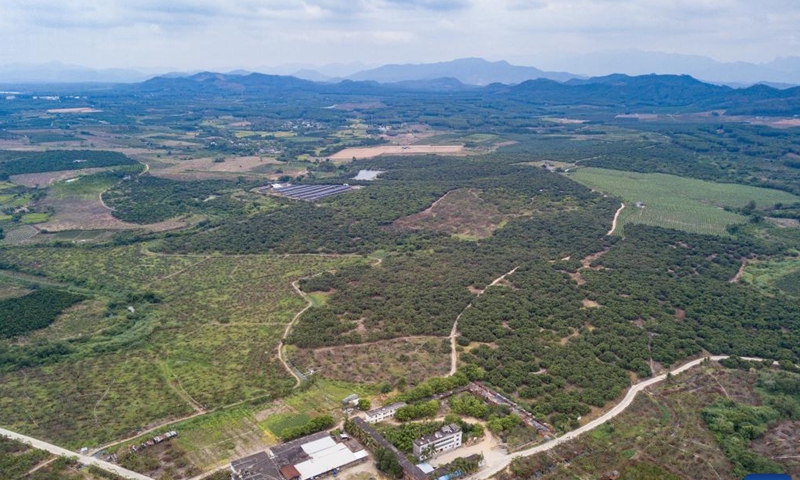 This aerial photo taken on April 30, 2023 shows the Xianglin vegetable and fruit base in Dongfang City, south China's Hainan Province.

Recently, longan fruits have entered the harvest season in the base, covering an area of 4,000 mu (about 267 hectares). In addition to supplying the domestic market, these logan fruits are also exported to Europe and the United States. (Xinhua/Pu Xiaoxu)