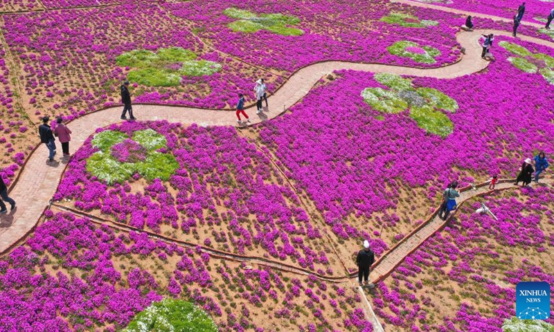 This aerial photo taken on May 1, 2023 shows tourists visiting a park in Qianxi County, north China's Hebei Province. China is witnessing a travel boom during this year's five-day May Day holiday. (Xinhua/Fan Shihui)