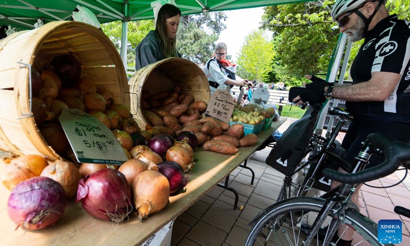 A customer shops at a farmers' market in Toronto, Canada, on May 16, 2023. Canada's Consumer Price Index (CPI) rose 4.4 percent year over year in April, following a 4.3 percent increase in March, Statistics Canada said Tuesday.(Photo: Xinhua)