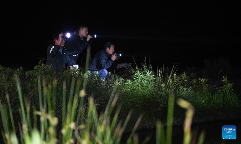 Investigators conduct a survey at a Chinese alligator national nature reserve in east China's Anhui Province, May 9, 2023. The Yangtze alligator, which has lived on Earth for over 200 million years, is a first-class protected animal endemic to China. Photo: Xinhua