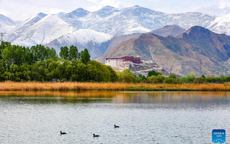 This photo taken on May 12, 2023 shows the Lhalu wetland in Lhasa, southwest China's Tibet Autonomous Region. (Xinhua/Jiang Fan)