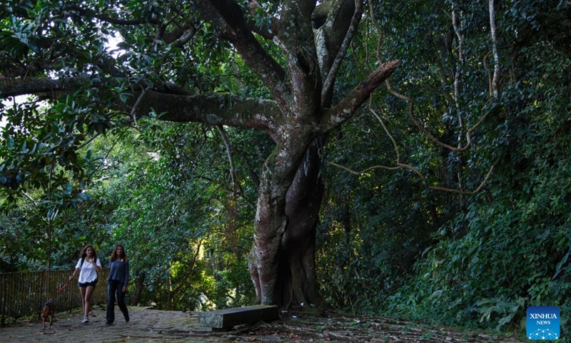 People visit the Tijuca National Park in Rio de Janeiro, Brazil, on May 21, 2023.(Photo: Xinhua)