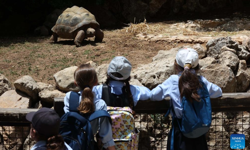 People observe an Aldabra Giant Tortoise at a zoo in Jerusalem during the World Turtle Day on May 23, 2023. (Photo by Gil Cohen Magen/Xinhua)

