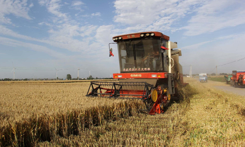 Farmers are operating combine harvesters to harvest wheat in Neihuang county, Anyang, Henan Province on June 2, 2023. Photo: VCG