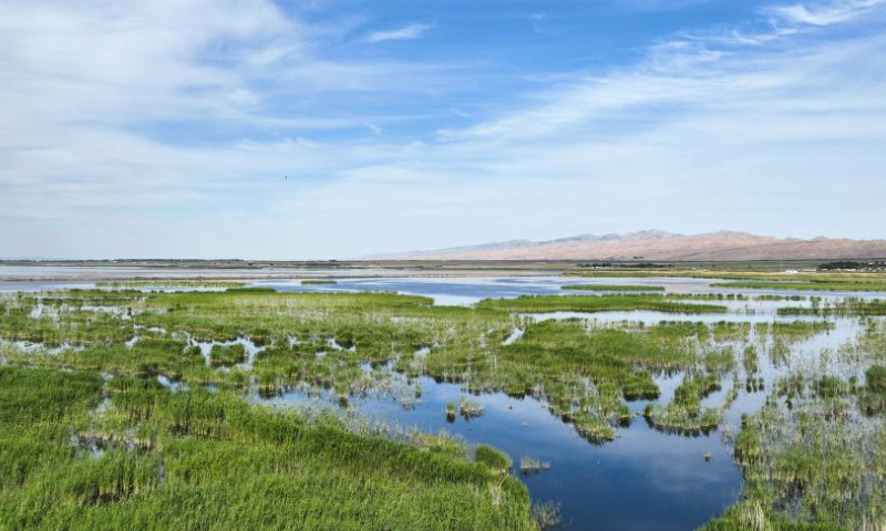 This aerial photo taken on June 4, 2023 shows the scenery of Ulan Suhai Lake in Urad Front Banner in Bayannur, north China's Inner Mongolia Autonomous Region. (Xinhua/Bei He)