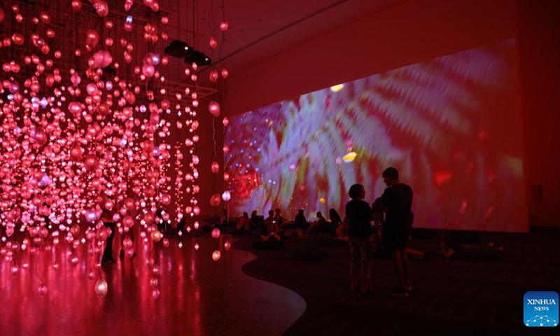 Exhibition of Pixel Forest and Worry Will Vanish held in Houston ...
